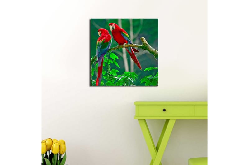 Lerretsbilde 45x45 cm - Par fargerike papegøyer på en gren - Rød / Grønn / Blå - Interiør - Maleri & posters - Lerretsbilder