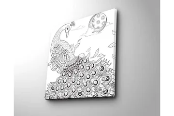 Lerretsbilde 45x45 cm - Påfugl med spredte fjær i en detaljert komposisjon - Svart / Hvit - Interiør - Maleri & posters - Lerretsbilder