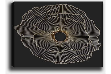 Lerretsbilde 70x100 cm - Abstrakt blomst med gulllinjer på svart bakgrunn - Gull / Svart - Interiør - Maleri & posters - Lerretsbilder