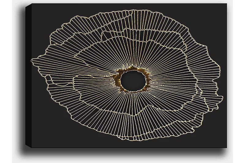 Lerretsbilde 70x100 cm - Abstrakt blomst med gulllinjer på svart bakgrunn - Gull / Svart - Interiør - Maleri & posters - Lerretsbilder