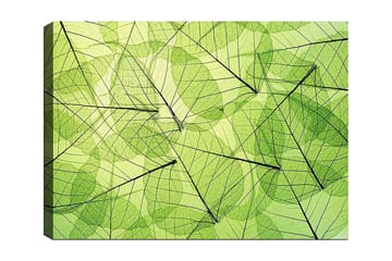 Lerretsbilde 70x100 cm - Abstrakt komposisjon av gjennomsiktige blader i forskjellige grønnfarger - Lys grønn / Mørkegrønn / Svart - Interiør - Maleri & posters - Lerretsbilder