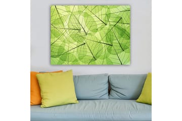 Lerretsbilde 70x100 cm - Abstrakt komposisjon av gjennomsiktige blader i forskjellige grønnfarger - Lys grønn / Mørkegrønn / Svart - Interiør - Maleri & posters - Lerretsbilder