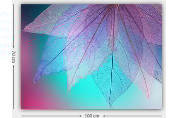 Lerretsbilde 70x100 cm - Abstrakt komposisjon av gjennomsiktige blader med en harmonisk fargepalett - Lilla / Turkis / Rosa - Interiør - Maleri & posters - Lerretsbilder