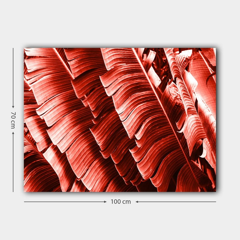 Lerretsbilde 70x100 cm - Abstrakt komposisjon av planteblader i dype røde nyanser - Rød / Mørk rød - Interiør - Maleri & posters - Lerretsbilder