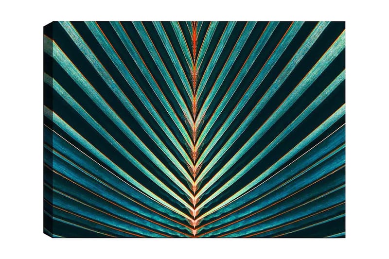 Lerretsbilde 70x100 cm - Abstrakt komposisjon av palmeblader med klare linjer og symmetri, Mørkegrønn / Turkis / Oransje