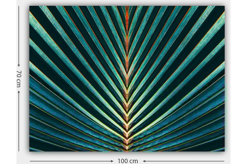 Lerretsbilde 70x100 cm - Abstrakt komposisjon av palmeblader med klare linjer og symmetri - Mørkegrønn / Turkis / Oransje - Interiør - Maleri & posters - Lerretsbilder