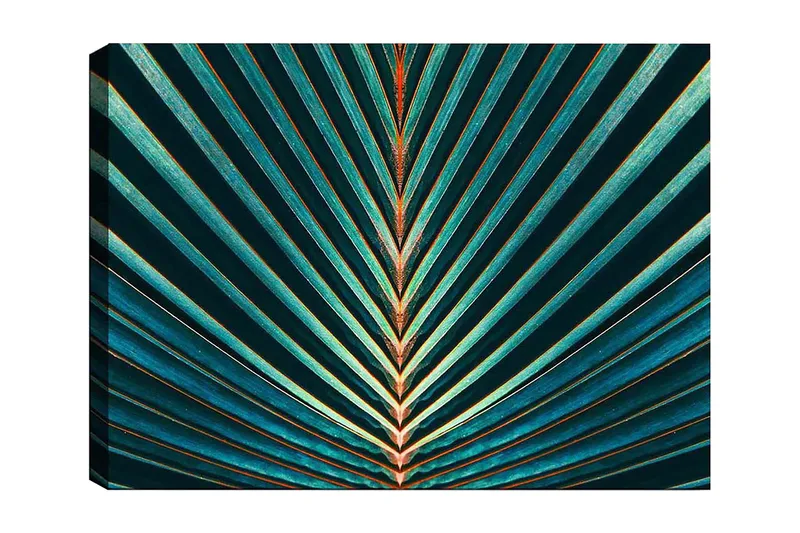 Lerretsbilde 70x100 cm - Abstrakt komposisjon av palmeblader med klare linjer og symmetri, Mørkegrønn / Turkis / Oransje