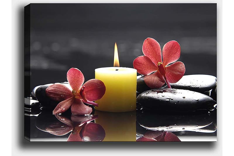 Lerretsbilde 70x100 cm - Avslappende komposisjon med en tent stearinlyslykt, svarte steiner og rosa blomster - Gul / Rosa / Svart - Interiør - Maleri & posters - Lerretsbilder
