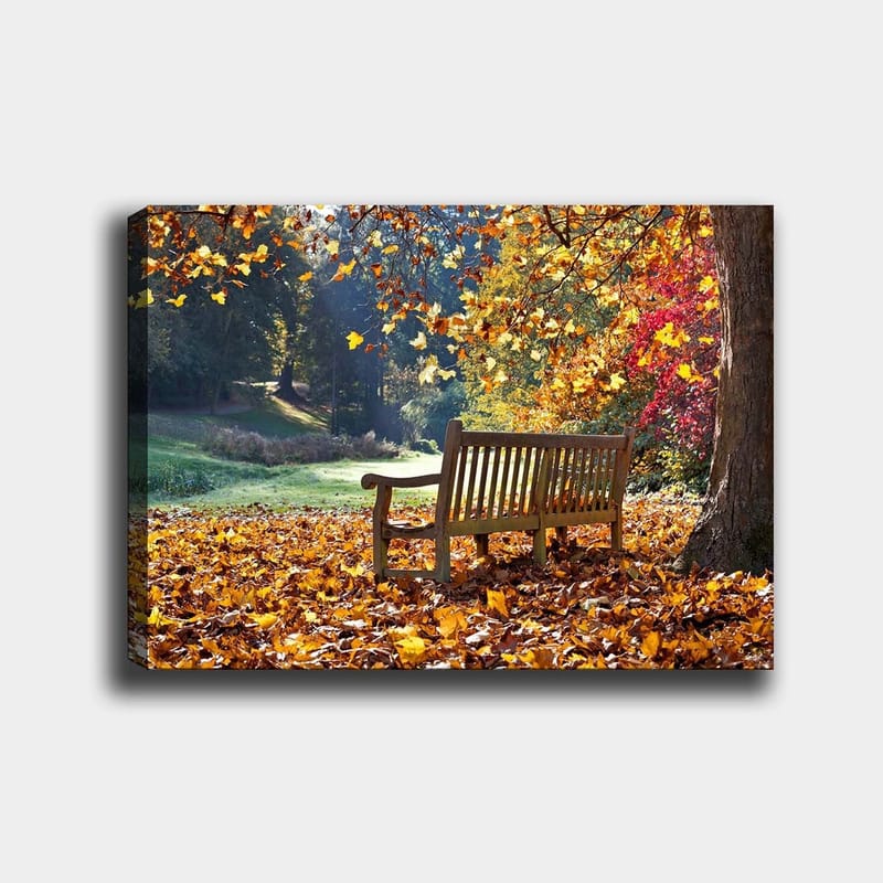 Lerretsbilde 70x100 cm - Benk omgitt av fargerike høstblader i naturskjønne omgivelser, Oransje / Gul / Rød
