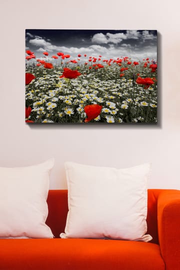 Lerretsbilde 70x100 cm - Blomstereng med røde valmuer og hvite tusenfryd som skaper en kontrastfylt og levende komposisjon - Rød / Hvit - Interiør - Maleri & posters - Lerretsbilder