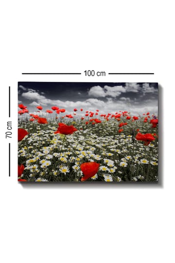 Lerretsbilde 70x100 cm - Blomstereng med røde valmuer og hvite tusenfryd som skaper en kontrastfylt og levende komposisjon - Rød / Hvit - Interiør - Maleri & posters - Lerretsbilder
