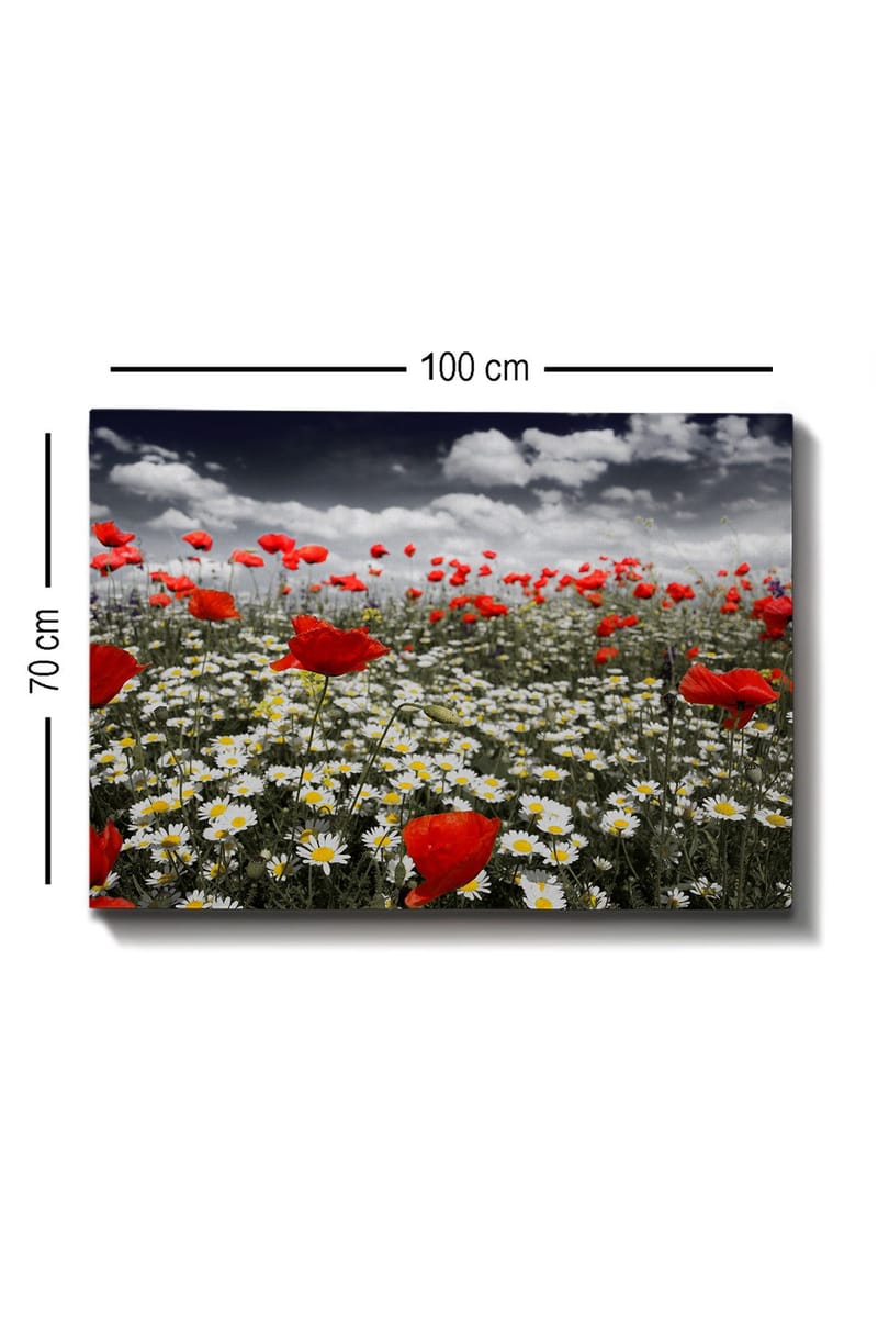 Lerretsbilde 70x100 cm - Blomstereng med røde valmuer og hvite tusenfryd som skaper en kontrastfylt og levende komposisjon - Rød / Hvit - Interiør - Maleri & posters - Lerretsbilder