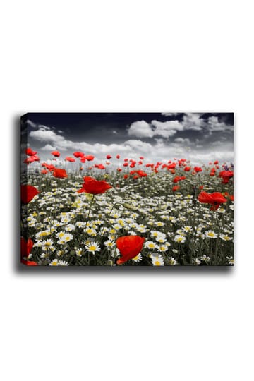 Lerretsbilde 70x100 cm - Blomstereng med røde valmuer og hvite tusenfryd som skaper en kontrastfylt og levende komposisjon - Rød / Hvit - Interiør - Maleri & posters - Lerretsbilder