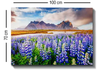Lerretsbilde 70x100 cm - Blomstrende eng med lupiner i forskjellige nyanser av blått og hvitt, omgitt av majestetiske fjell i bakgrunnen - Blå / Hvit / Grønn - Interiør - Maleri & posters - Lerretsbilder