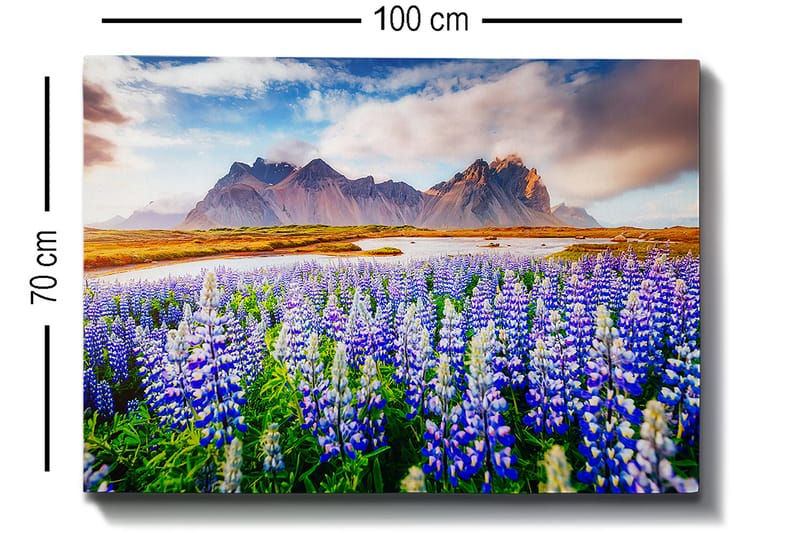 Lerretsbilde 70x100 cm - Blomstrende eng med lupiner i forskjellige nyanser av blått og hvitt, omgitt av majestetiske fjell i bakgrunnen - Blå / Hvit / Grønn - Interiør - Maleri & posters - Lerretsbilder