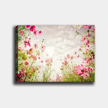 Lerretsbilde 70x100 cm - Blomstrende eng med rosa blomster som strekker seg mot en lys himmel - Rosa / Grønn - Interiør - Maleri & posters - Lerretsbilder
