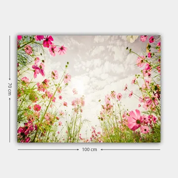 Lerretsbilde 70x100 cm - Blomstrende eng med rosa blomster som strekker seg mot en lys himmel - Rosa / Grønn - Interiør - Maleri & posters - Lerretsbilder