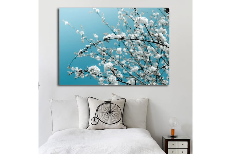 Lerretsbilde 70x100 cm - Blomstrende grener mot en klar, blå bakgrunn - Hvit / Lys blå - Interiør - Maleri & posters - Lerretsbilder
