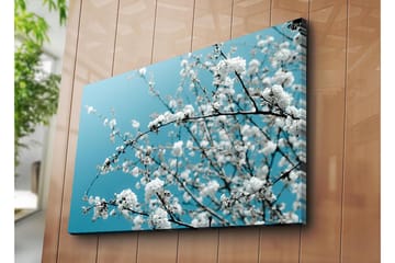 Lerretsbilde 70x100 cm - Blomstrende grener mot en klar, blå bakgrunn - Hvit / Lys blå - Interiør - Maleri & posters - Lerretsbilder