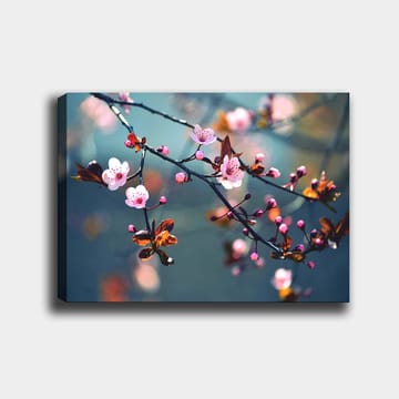 Lerretsbilde 70x100 cm - Blomstrende kirsebærgrener med rosa blomster og brune blader - Rosa / Brun / Grønn - Interiør - Maleri & posters - Lerretsbilder