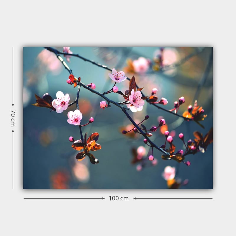 Lerretsbilde 70x100 cm - Blomstrende kirsebærgrener med rosa blomster og brune blader - Rosa / Brun / Grønn - Interiør - Maleri & posters - Lerretsbilder