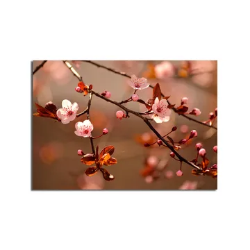 Lerretsbilde 70x100 cm - Blomstrende kirsebærgrener med rosa blomster og brune blader - Rosa / Brun - Interiør - Maleri & posters - Lerretsbilder