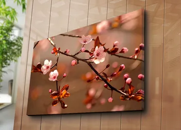 Lerretsbilde 70x100 cm - Blomstrende kirsebærgrener med rosa blomster og brune blader - Rosa / Brun - Interiør - Maleri & posters - Lerretsbilder