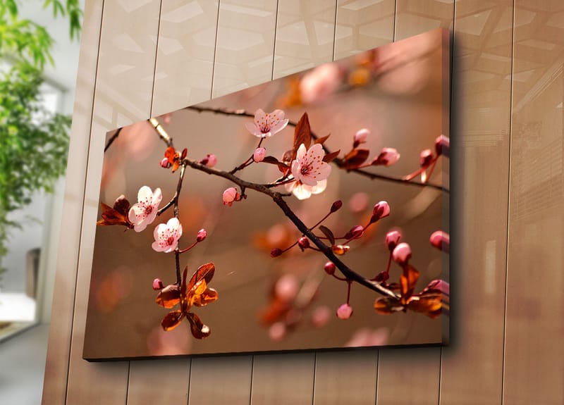 Lerretsbilde 70x100 cm - Blomstrende kirsebærgrener med rosa blomster og brune blader - Rosa / Brun - Interiør - Maleri & posters - Lerretsbilder