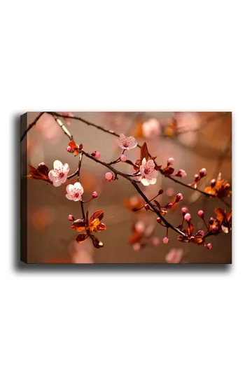 Lerretsbilde 70x100 cm - Blomstrende kirsebærgrener med rosa blomster og knopper - Rosa / Brun / Mørk rød - Interiør - Maleri & posters - Lerretsbilder