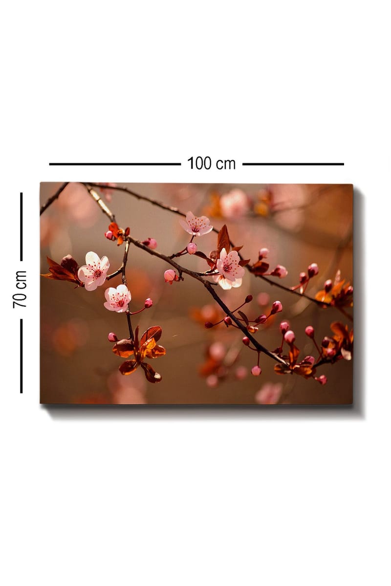 Lerretsbilde 70x100 cm - Blomstrende kirsebærgrener med rosa blomster og knopper - Rosa / Brun / Mørk rød - Interiør - Maleri & posters - Lerretsbilder