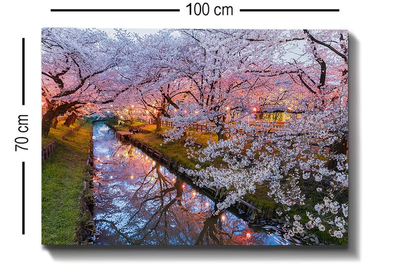 Lerretsbilde 70x100 cm - Blomstrende kirsebærtrær ved en stille kanal i skumringen - Rosa / Hvit / Grønn - Interiør - Maleri & posters - Lerretsbilder