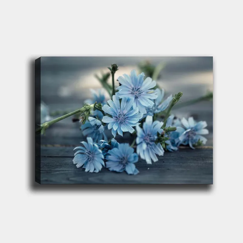 Lerretsbilde 70x100 cm - Bukett med lyseblå blomster som ligger på en mørk overflate, Lys blå / Grønn