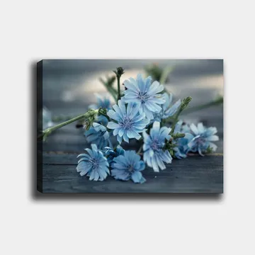 Lerretsbilde 70x100 cm - Bukett med lyseblå blomster som ligger på en mørk overflate - Lys blå / Grønn - Interiør - Maleri & posters - Lerretsbilder