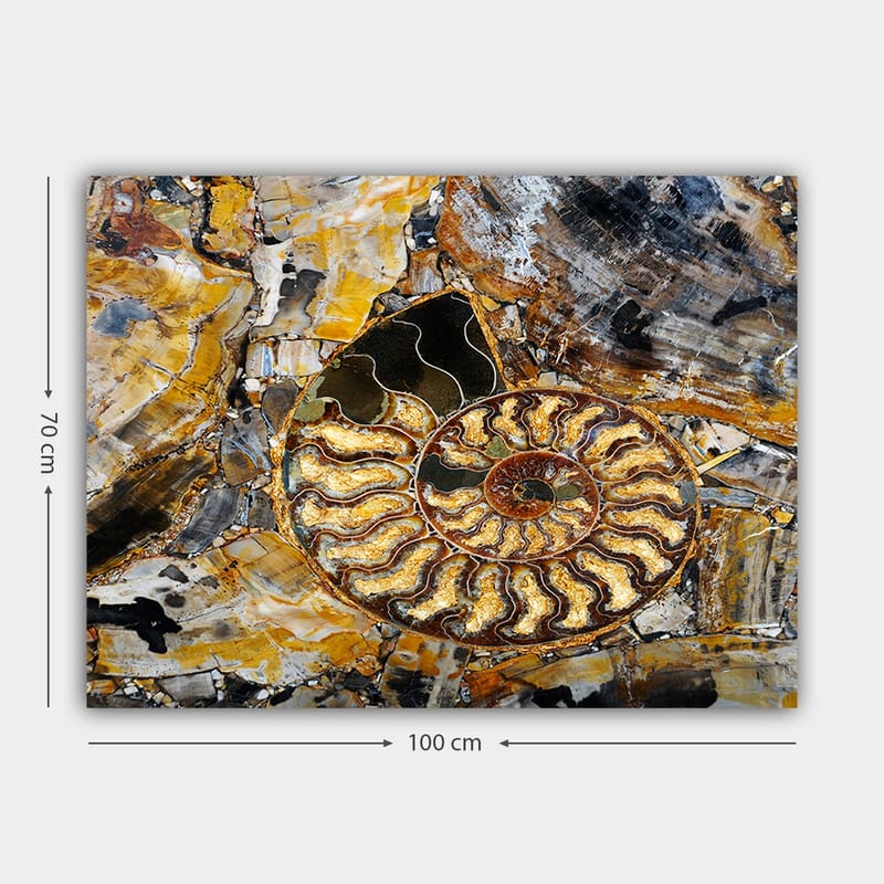 Lerretsbilde 70x100 cm - Detaljert avbildning av en snegle med spiralstruktur - Gull / Brun / Svart - Interiør - Maleri & posters - Lerretsbilder