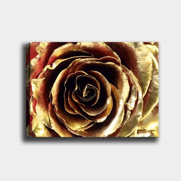 Lerretsbilde 70x100 cm - Detaljert og glitrende rose i gulltoner - Gull / Rød / Brun - Interiør - Maleri & posters - Lerretsbilder
