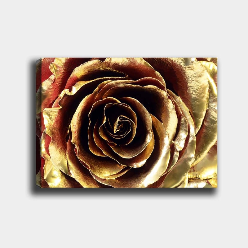 Lerretsbilde 70x100 cm - Detaljert og glitrende rose i gulltoner - Gull / Rød / Brun - Interiør - Maleri & posters - Lerretsbilder