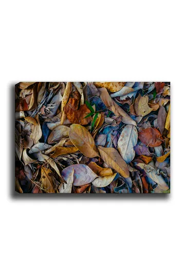 Lerretsbilde 70x100 cm - Detaljert samling av tørkede blader i forskjellige nyanser som skaper en naturlig tekstur - Brun / Beige / Grønn - Interiør - Maleri & posters - Lerretsbilder