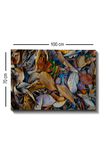 Lerretsbilde 70x100 cm - Detaljert samling av tørkede blader i forskjellige nyanser som skaper en naturlig tekstur - Brun / Beige / Grønn - Interiør - Maleri & posters - Lerretsbilder