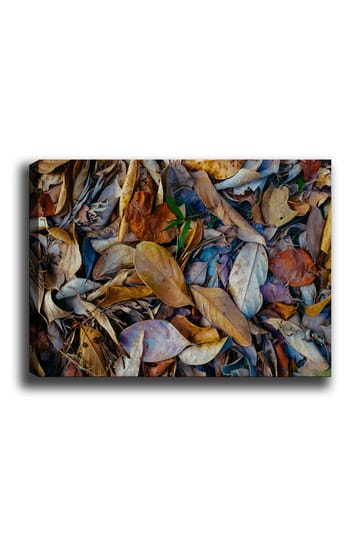 Lerretsbilde 70x100 cm - Detaljert samling av tørkede blader i forskjellige nyanser som skaper en naturlig tekstur - Brun / Beige / Grønn - Interiør - Maleri & posters - Lerretsbilder