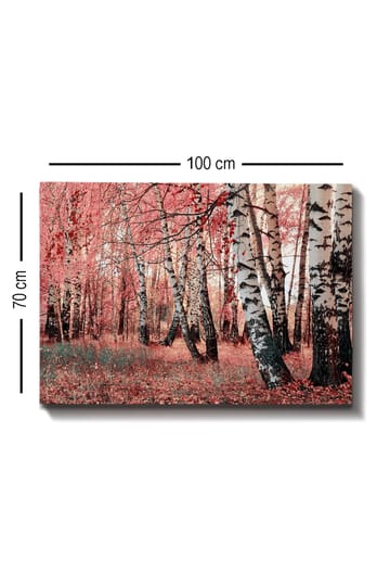 Lerretsbilde 70x100 cm - Drømmeskog med bjørketrær omgitt av rosa og røde blader - Rosa / Hvit / Svart - Interiør - Maleri & posters - Lerretsbilder