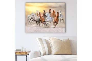 Lerretsbilde 70x100 cm - Dynamisk skildring av flere hester som galopperer i et sandete miljø - Hvit / Brun / Grå - Interiør - Maleri & posters - Lerretsbilder