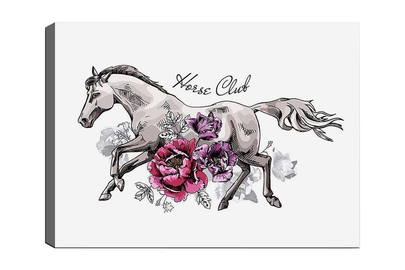 Lerretsbilde 70x100 cm - Elegant hest som løper fremover omgitt av fargerike blomster, Grå / Rosa / Lilla