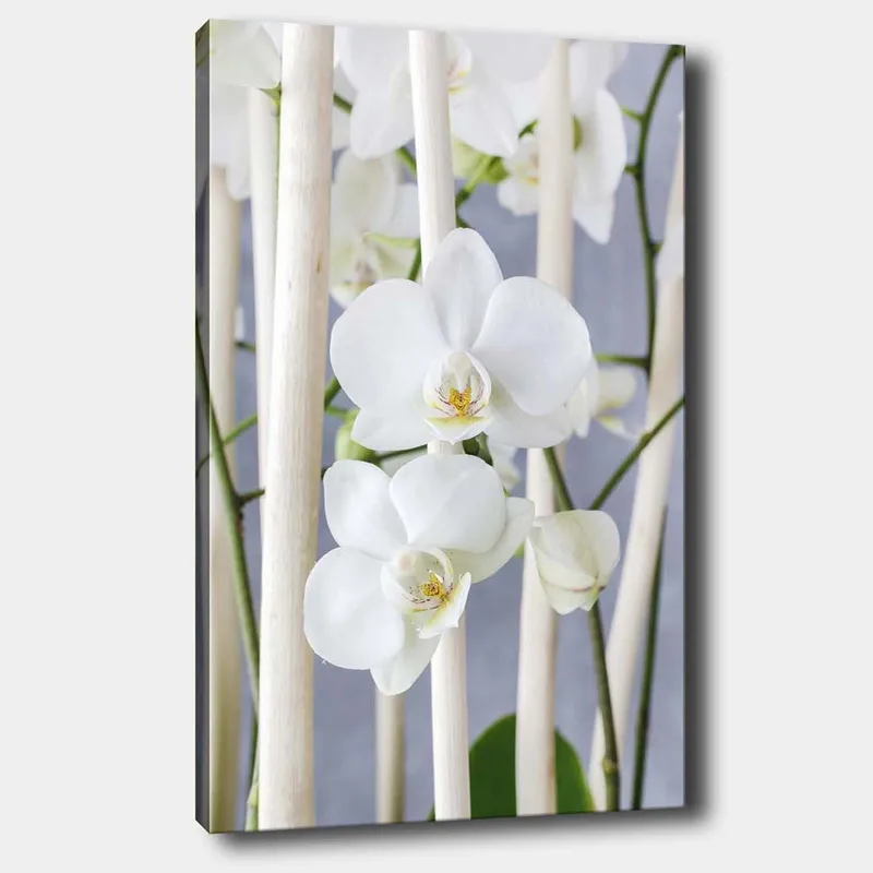 Lerretsbilde 70x100 cm - Elegant komposisjon av hvite orkideer som vokser mellom lyse stilker, Hvit / Grønn