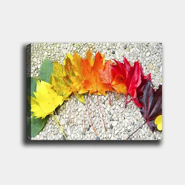Lerretsbilde 70x100 cm - En rekke fargerike høstblader i forskjellige nyanser som viser naturens skjønnhet - Rød / Oransje / Gul - Interiør - Maleri & posters - Lerretsbilder