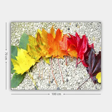 Lerretsbilde 70x100 cm - En rekke fargerike høstblader i forskjellige nyanser som viser naturens skjønnhet - Rød / Oransje / Gul - Interiør - Maleri & posters - Lerretsbilder