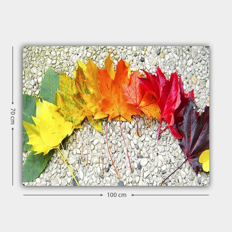 Lerretsbilde 70x100 cm - En rekke fargerike høstblader i forskjellige nyanser som viser naturens skjønnhet - Rød / Oransje / Gul - Interiør - Maleri & posters - Lerretsbilder