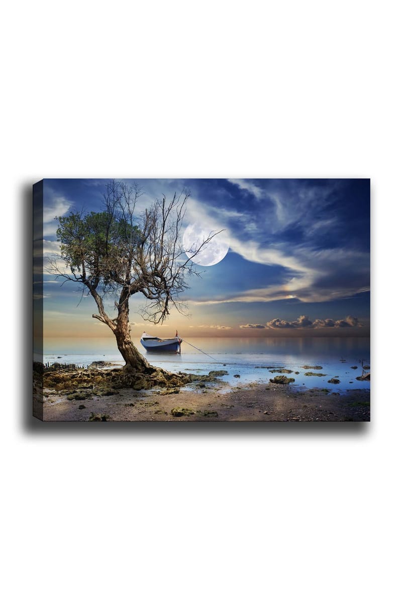 Lerretsbilde 70x100 cm - Ensom, død trestamme ved en stille vannflate med en båt i bakgrunnen under en stjerneklar himmel - Blå / Grønn / Beige - Interiør - Maleri & posters - Lerretsbilder