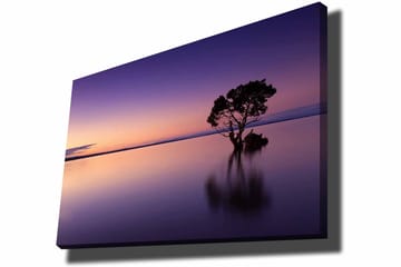 Lerretsbilde 70x100 cm - Ensom tretopp speilet i en stille innsjø under en fargerik himmel i skumringen - Lilla / Oransje / Svart - Interiør - Maleri & posters - Lerretsbilder