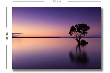 Lerretsbilde 70x100 cm - Ensom tretopp speilet i en stille innsjø under en fargerik himmel i skumringen - Lilla / Oransje / Svart - Interiør - Maleri & posters - Lerretsbilder
