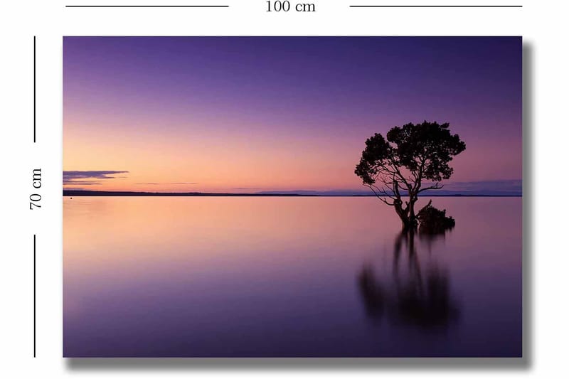 Lerretsbilde 70x100 cm - Ensom tretopp speilet i en stille innsjø under en fargerik himmel i skumringen - Lilla / Oransje / Svart - Interiør - Maleri & posters - Lerretsbilder